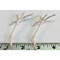 ROBIN BIRD FEET (pair)