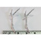 QUAIL (BOBWHITE) FEET (pair)