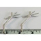 BALTIMORE ORIOLE FEET (pair)