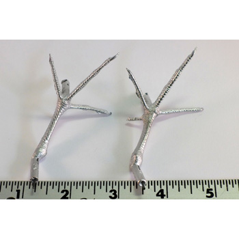 WOODCOCK FEET (pair)