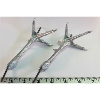 PHESANT FEET (pair)