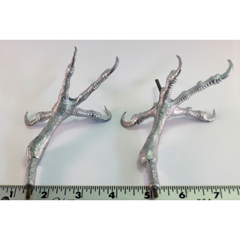 PEREGRINE FALCON FEET PR