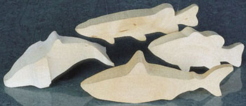 DOLPHIN 10 X 2.5