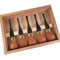 Premium Beginners Palm Set FRP310