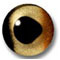 BROWN/GOLD EYES 8MM